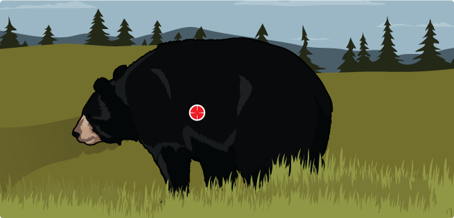 Quartering-Away Bear Quartering-Away Bear