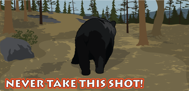 Bear Rear Shot