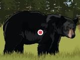 Bear Broadside