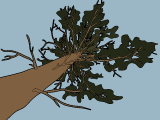 No Dead Trees No Dead Trees