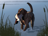 Dogs Dogs