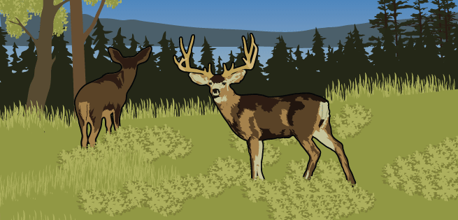Food - Deer Food - Deer