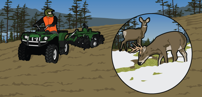 Food Plots Food Plots